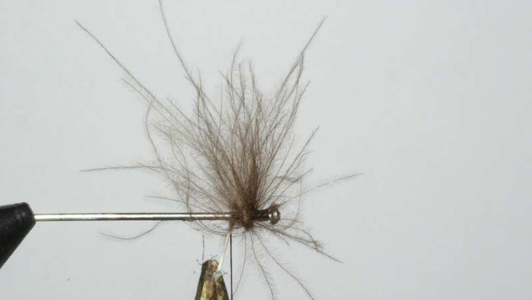 voilier crp détaché noué CDC dubbing lièvre fly mouche tying flytying eclosion