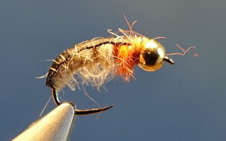 Raie nymphe bille dubbing mouche fly tying eclosion