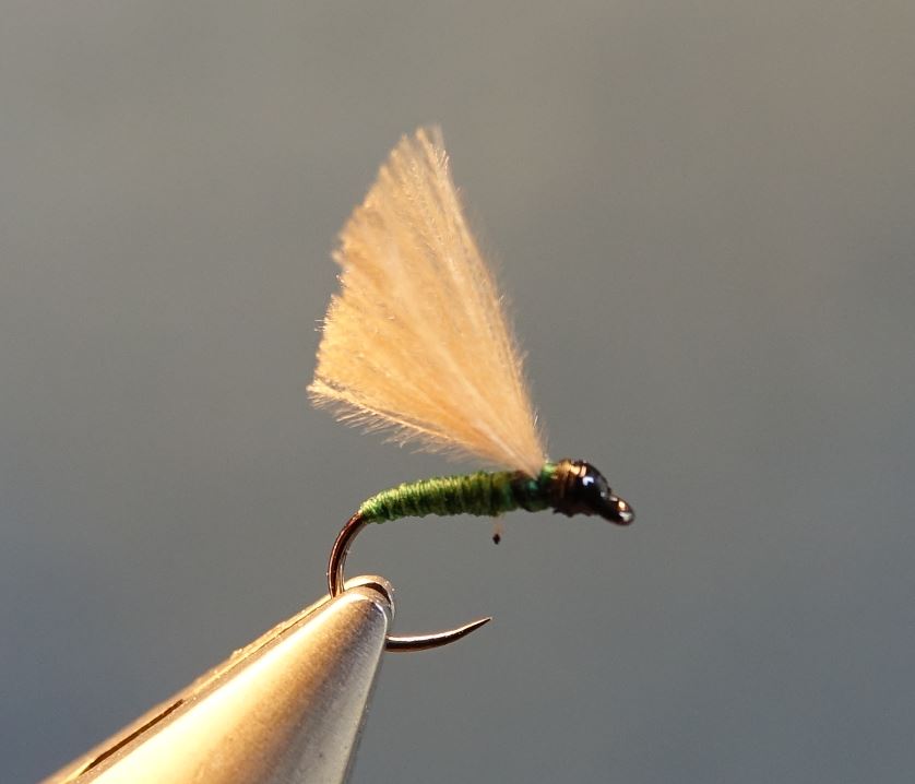 cul-vert CDC mouche fly tying eclosion