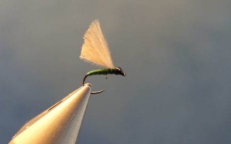 cul-vert CDC mouche fly tying eclosion