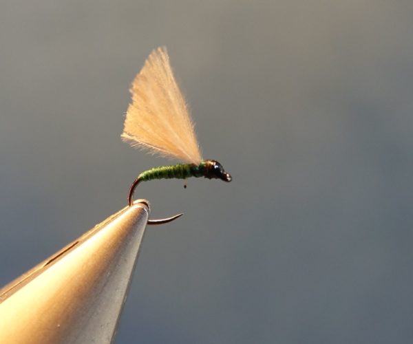 cul-vert CDC mouche fly tying eclosion