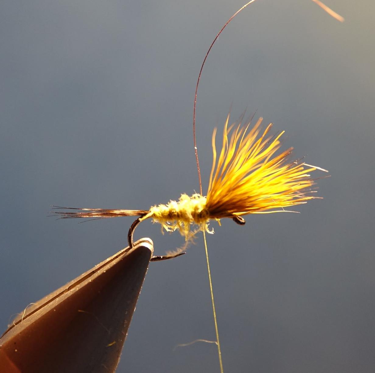 Comparadum poil cervidé olive fly tying mouche eclosion