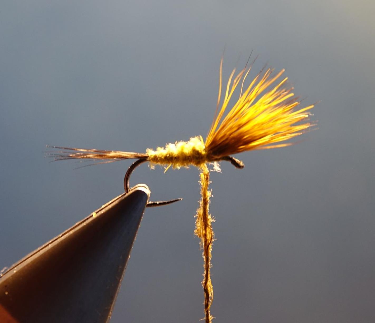 Comparadum poil cervidé olive fly tying mouche eclosion