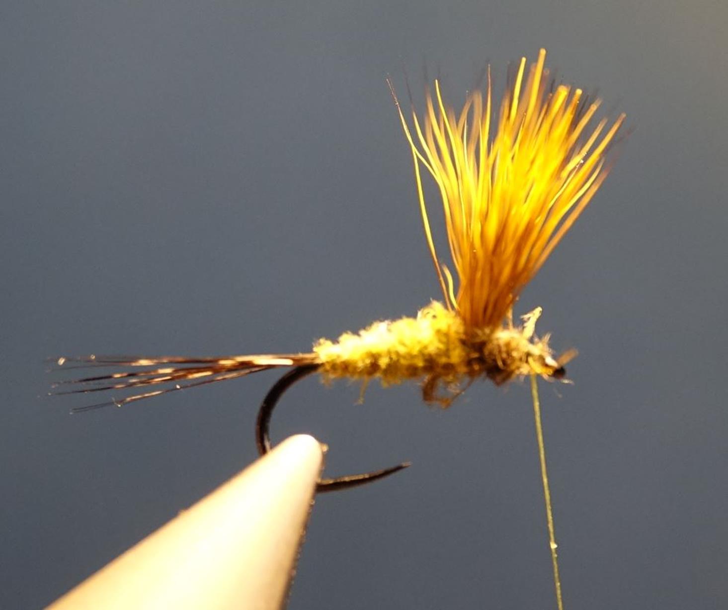 Comparadum poil cervidé olive fly tying mouche eclosion