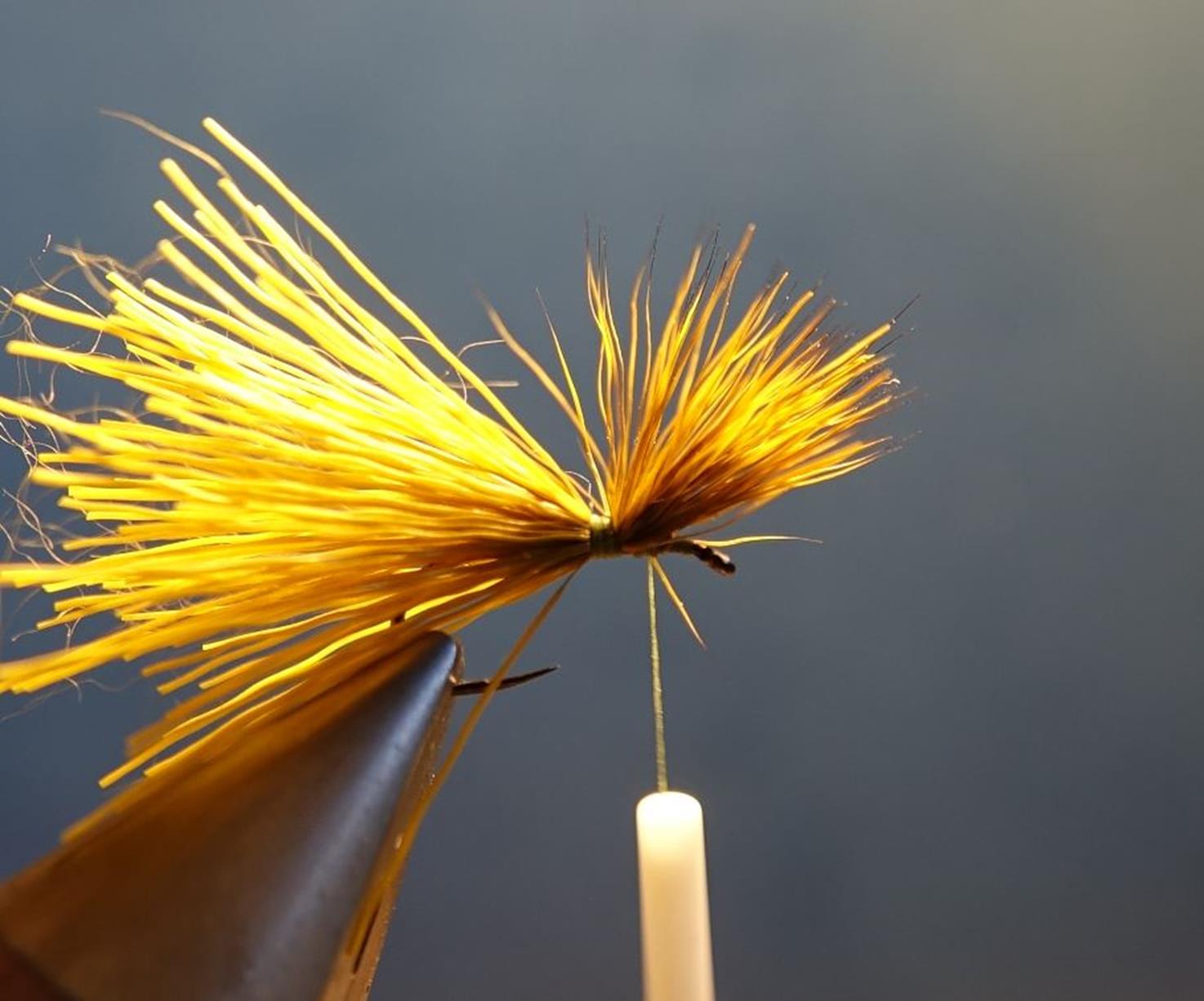 Comparadum poil cervidé olive fly tying mouche eclosion