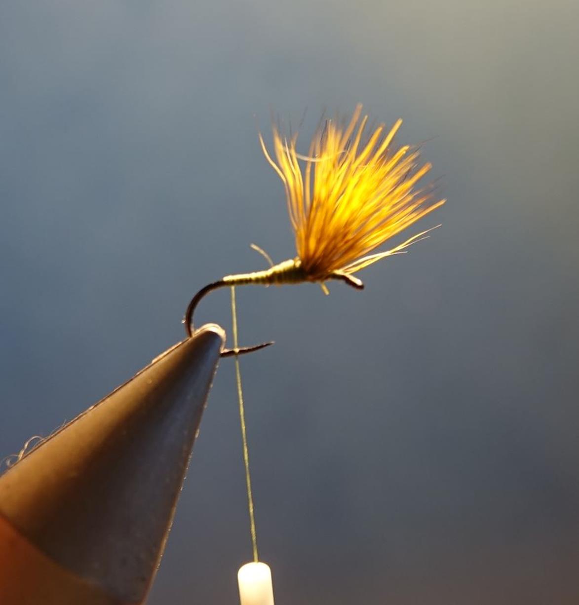 Comparadum poil cervidé olive fly tying mouche eclosion