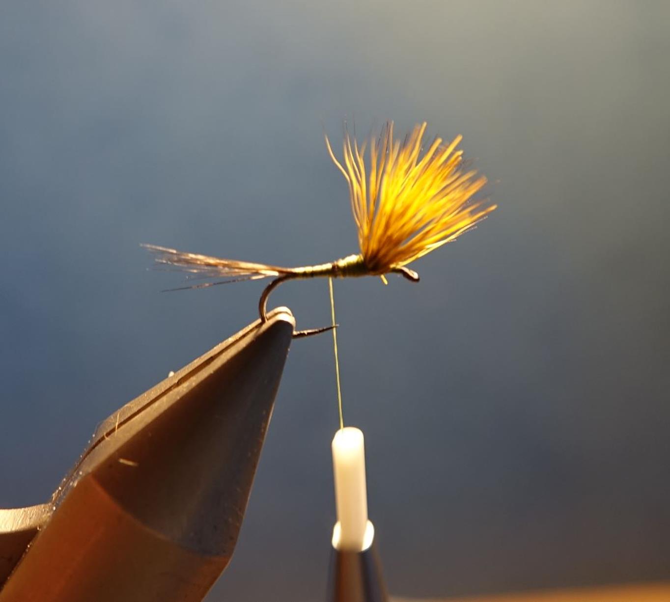 Comparadum poil cervidé olive fly tying mouche eclosion