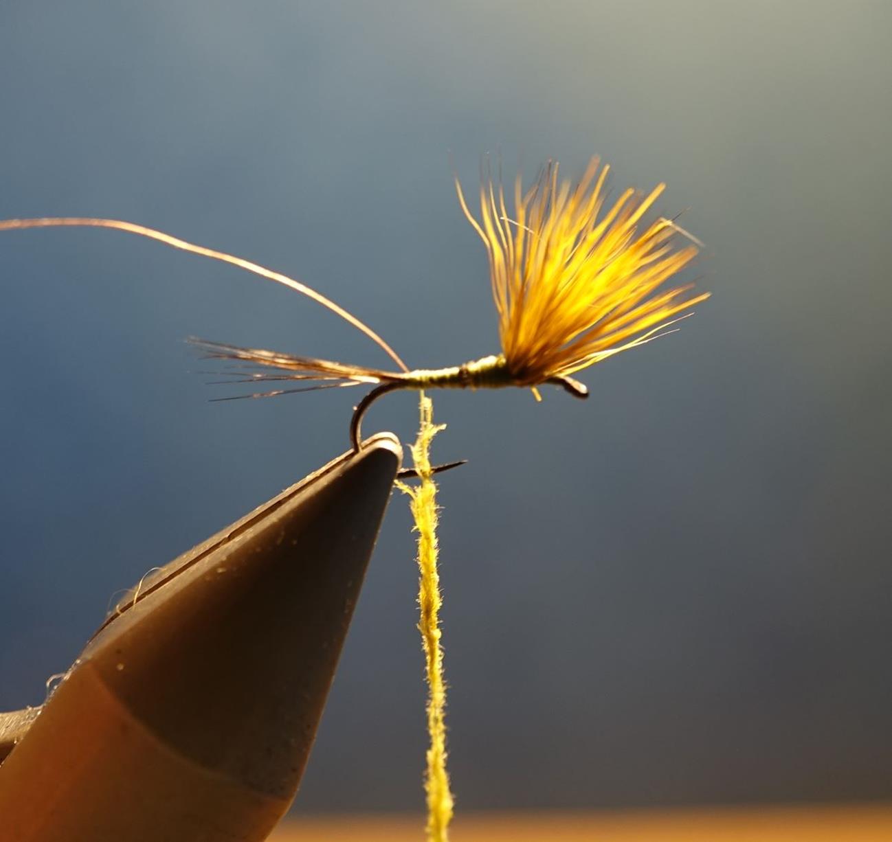 Comparadum poil cervidé olive fly tying mouche eclosion