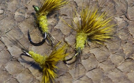 Comparadum poil cervidé olive fly tying mouche eclosion