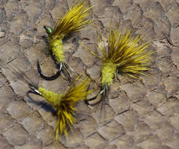 Comparadum poil cervidé olive fly tying mouche eclosion