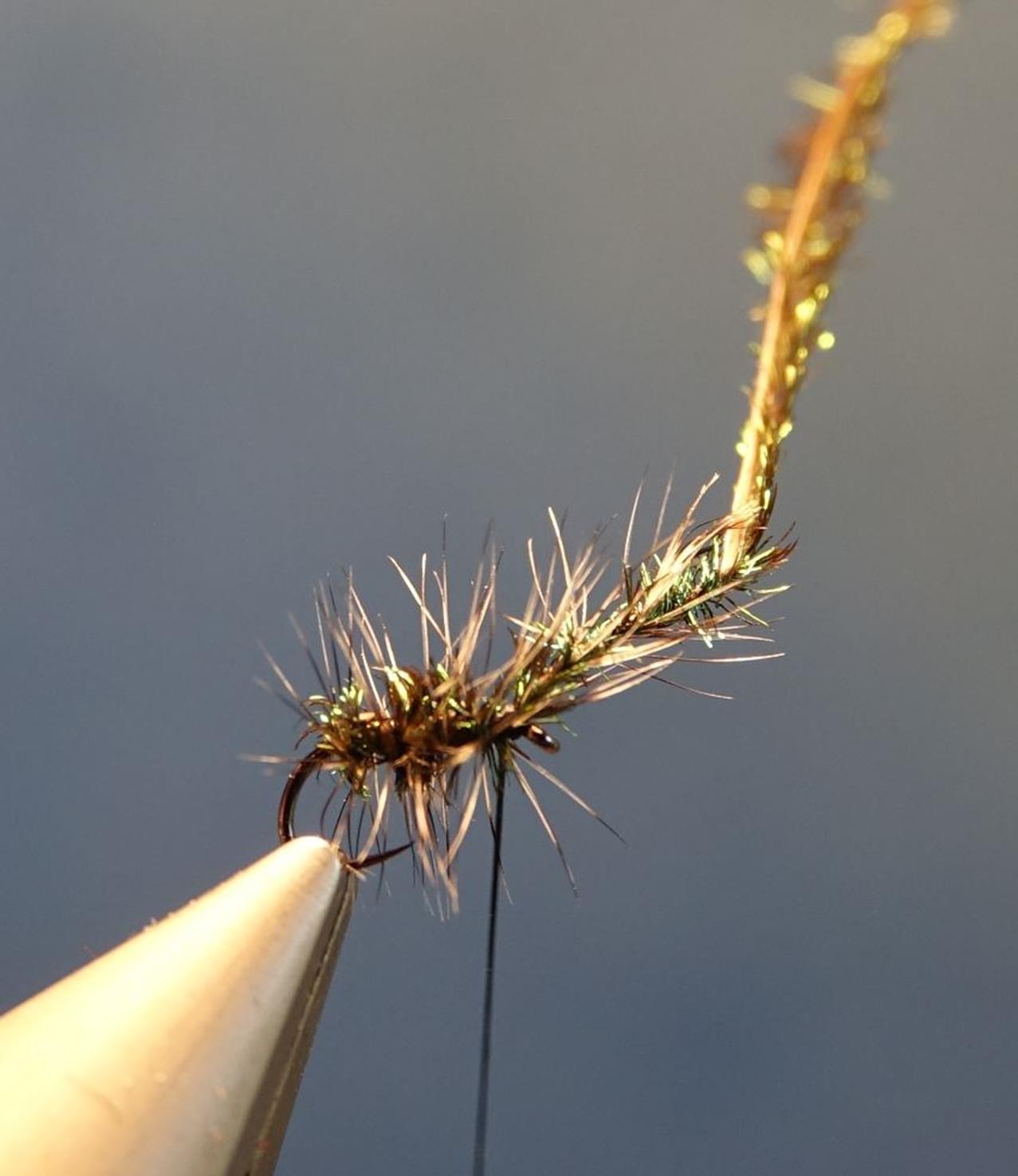 Gnat herl paon hackle grizzly mouche fly tying eclosion