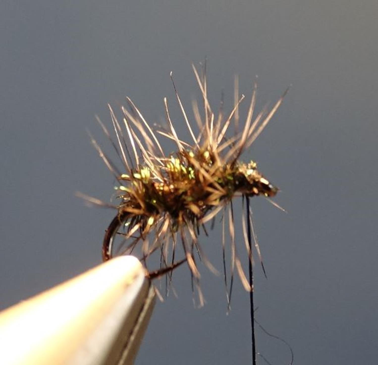 Gnat herl paon hackle grizzly mouche fly tying eclosion