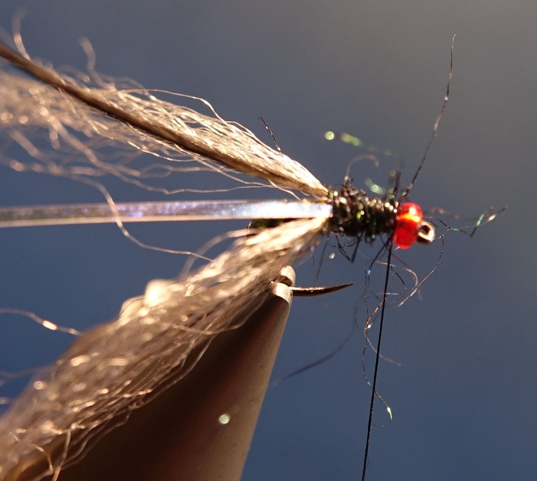 mouche bleue shit fly tying montage eclosion