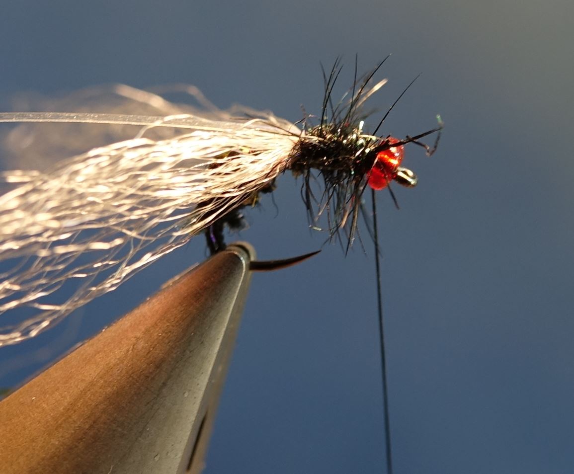 mouche bleue shit fly tying montage eclosion