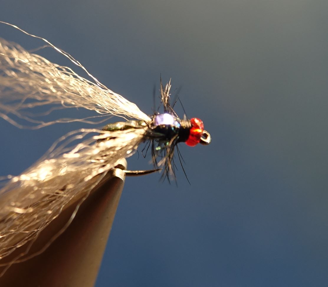 mouche bleue shit fly tying montage eclosion