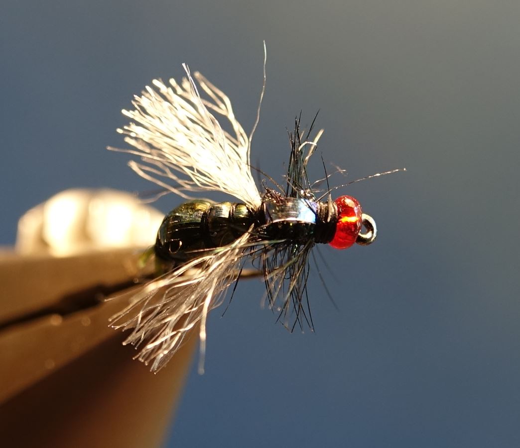 mouche bleue shit fly tying montage eclosion