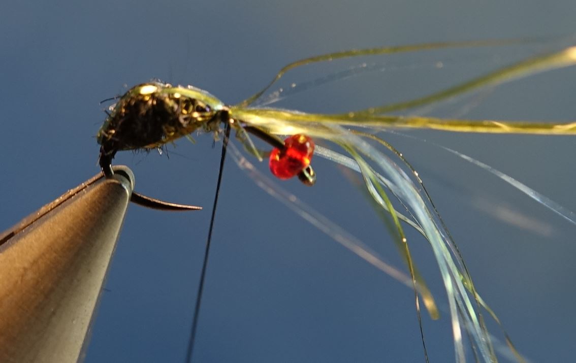 mouche bleue shit fly tying montage eclosion