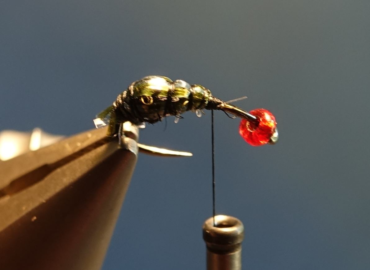 mouche bleue shit fly tying montage eclosion