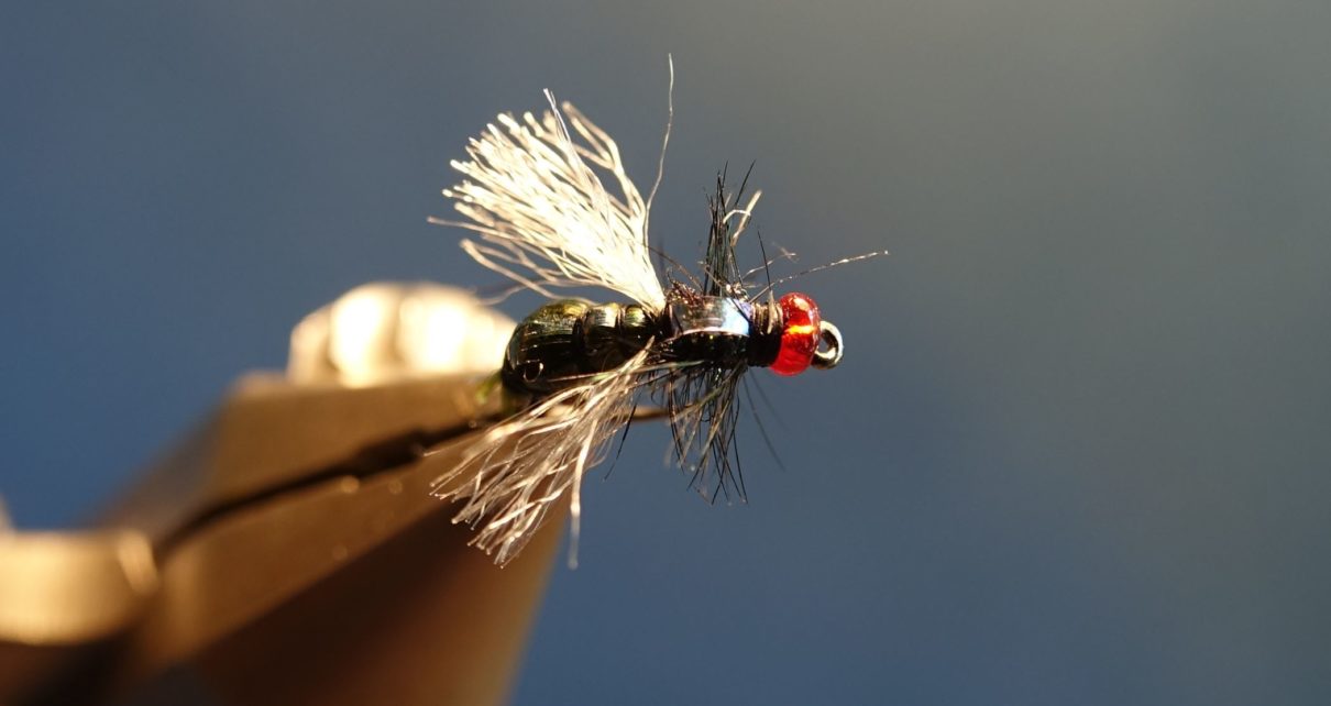 mouche bleue shit fly tying montage eclosion