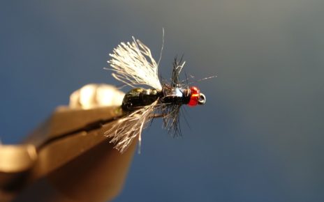 mouche bleue shit fly tying montage eclosion