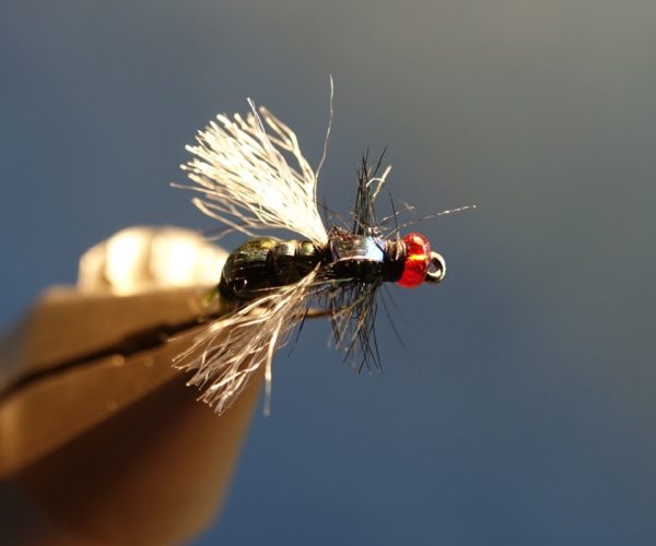 mouche bleue shit fly tying montage eclosion