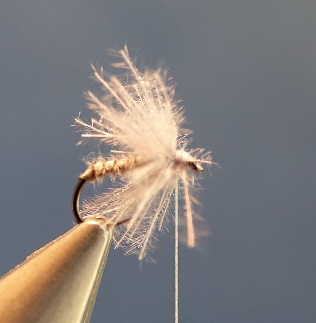 Moucheron heron CDC mouche fly tying eclosion