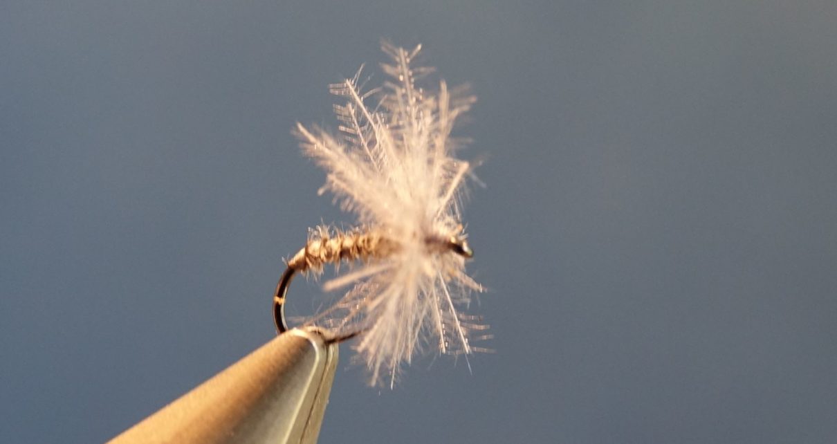 Moucheron heron CDC mouche fly tying eclosion
