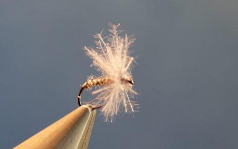 Moucheron heron CDC mouche fly tying eclosion
