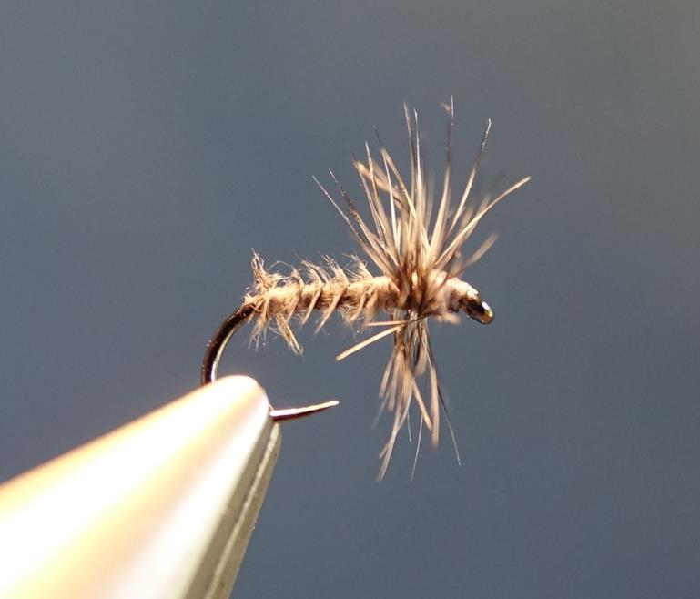 Moucheron heron CDC mouche fly tying eclosion