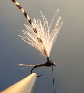 ephemere noire parachute heron corneille fly tying mouche eclosion