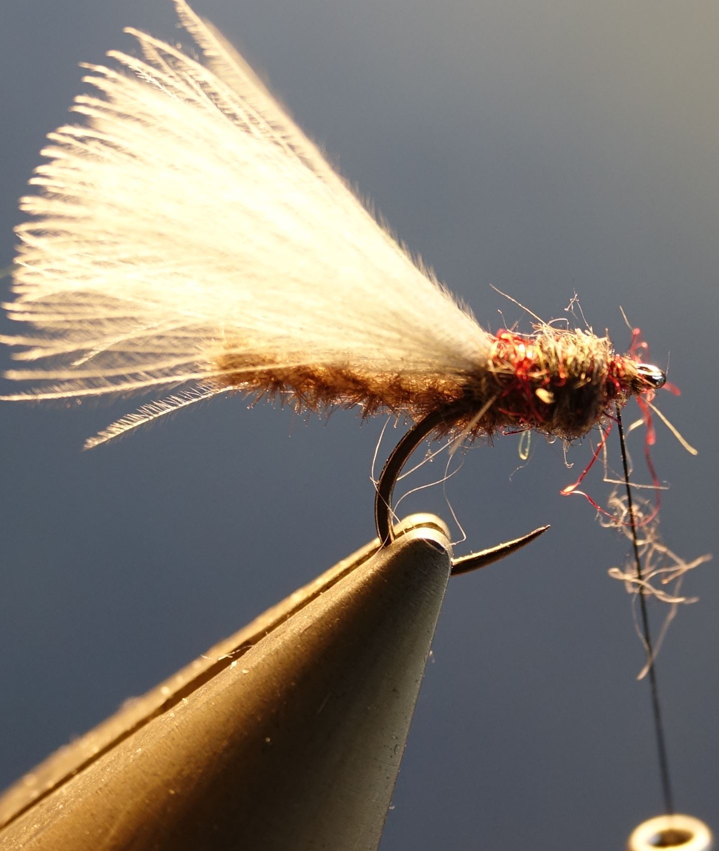 Chironome microchenille CDC dubbing mouche fly tying eclosion