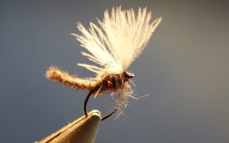 Chironome microchenille CDC dubbing mouche fly tying eclosion Mise en avant