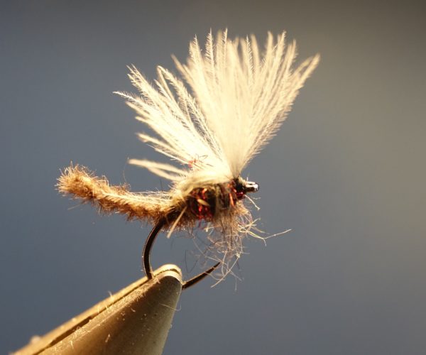 Chironome microchenille CDC dubbing mouche fly tying eclosion Mise en avant