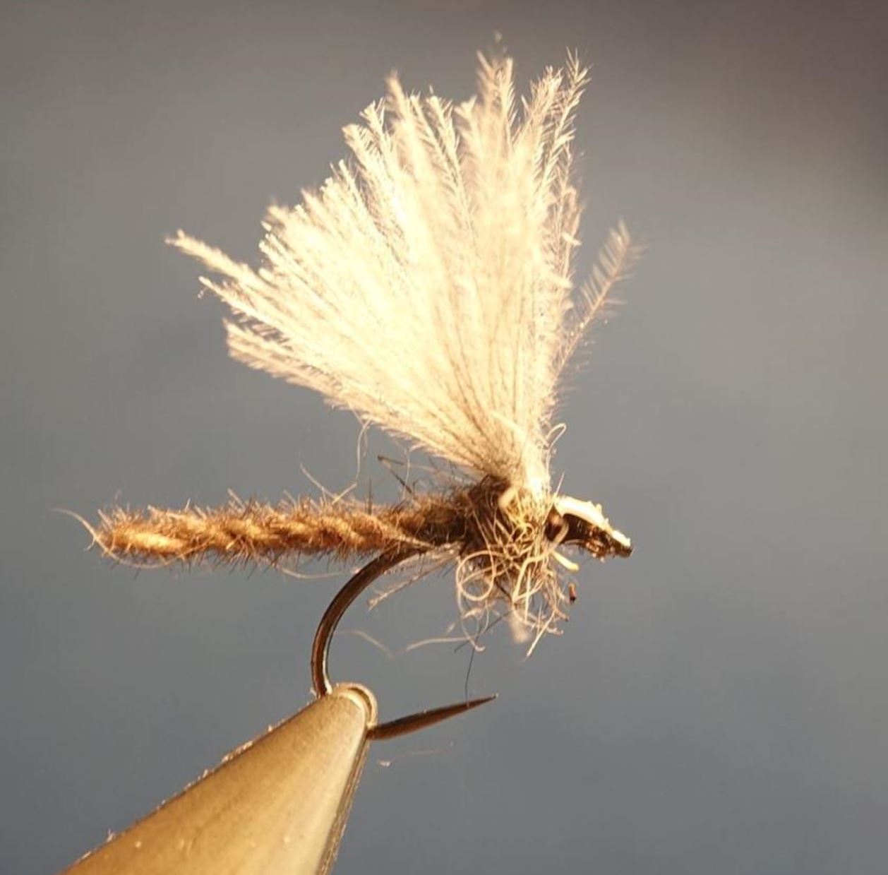 Chironome microchenille CDC dubbing mouche fly tying eclosion