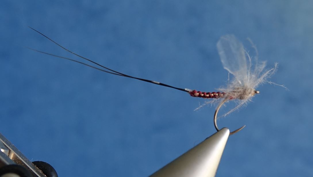 mouche fly tying ecdyonauris corps détaché tissé