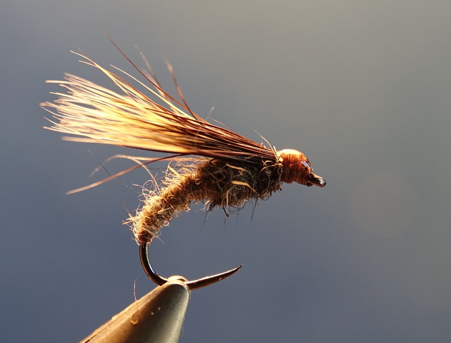 Emergente sedge marmotte fly tying mouche eclosion