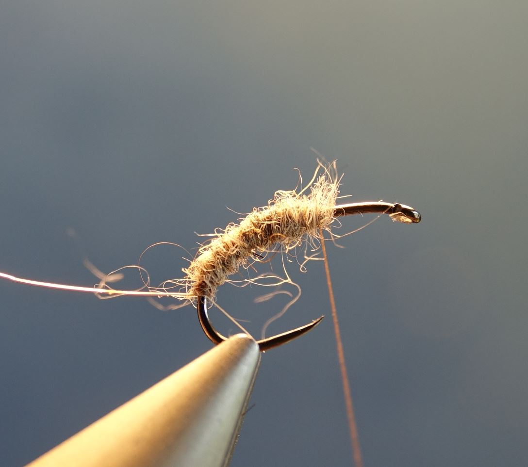 Emergente sedge marmotte fly tying mouche elosion