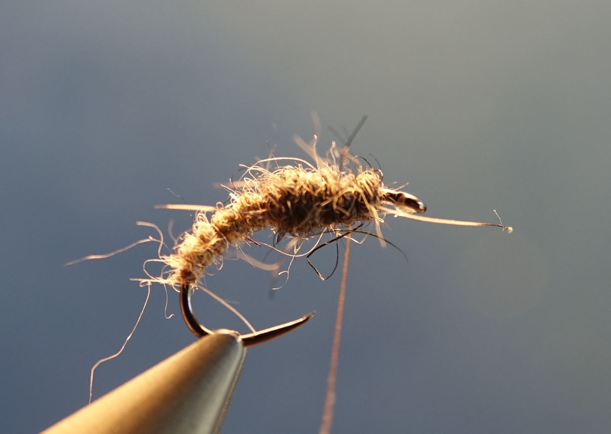 Emergente sedge marmotte fly tying mouche elosion