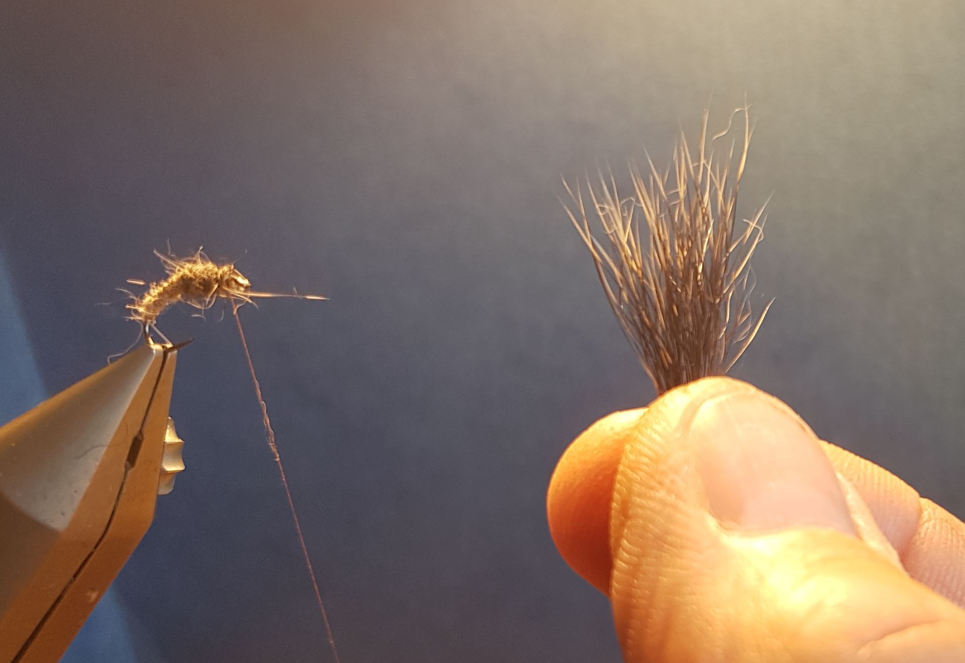 Emergente sedge marmotte fly tying mouche eclosion