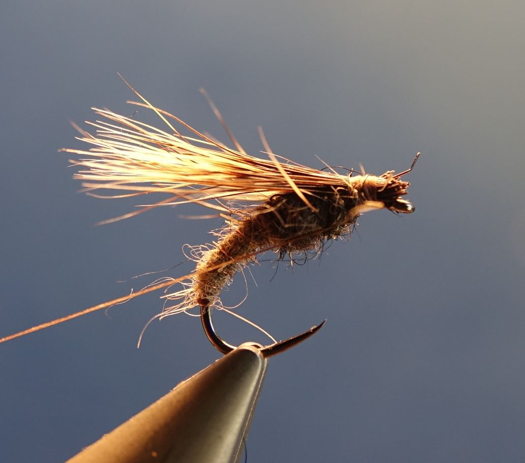 Emergente sedge marmotte fly tying mouche eclosion