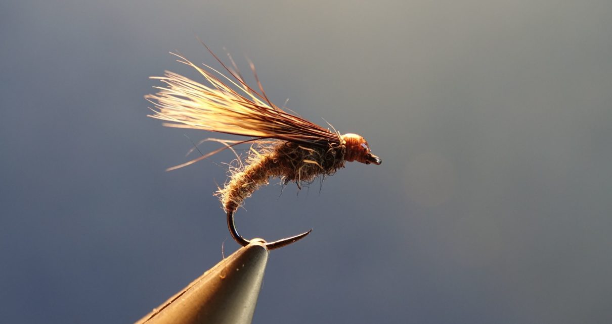 Emergente sedge marmotte fly tying mouche eclosion