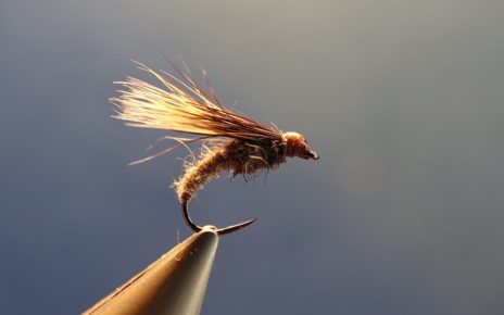 Emergente sedge marmotte fly tying mouche eclosion