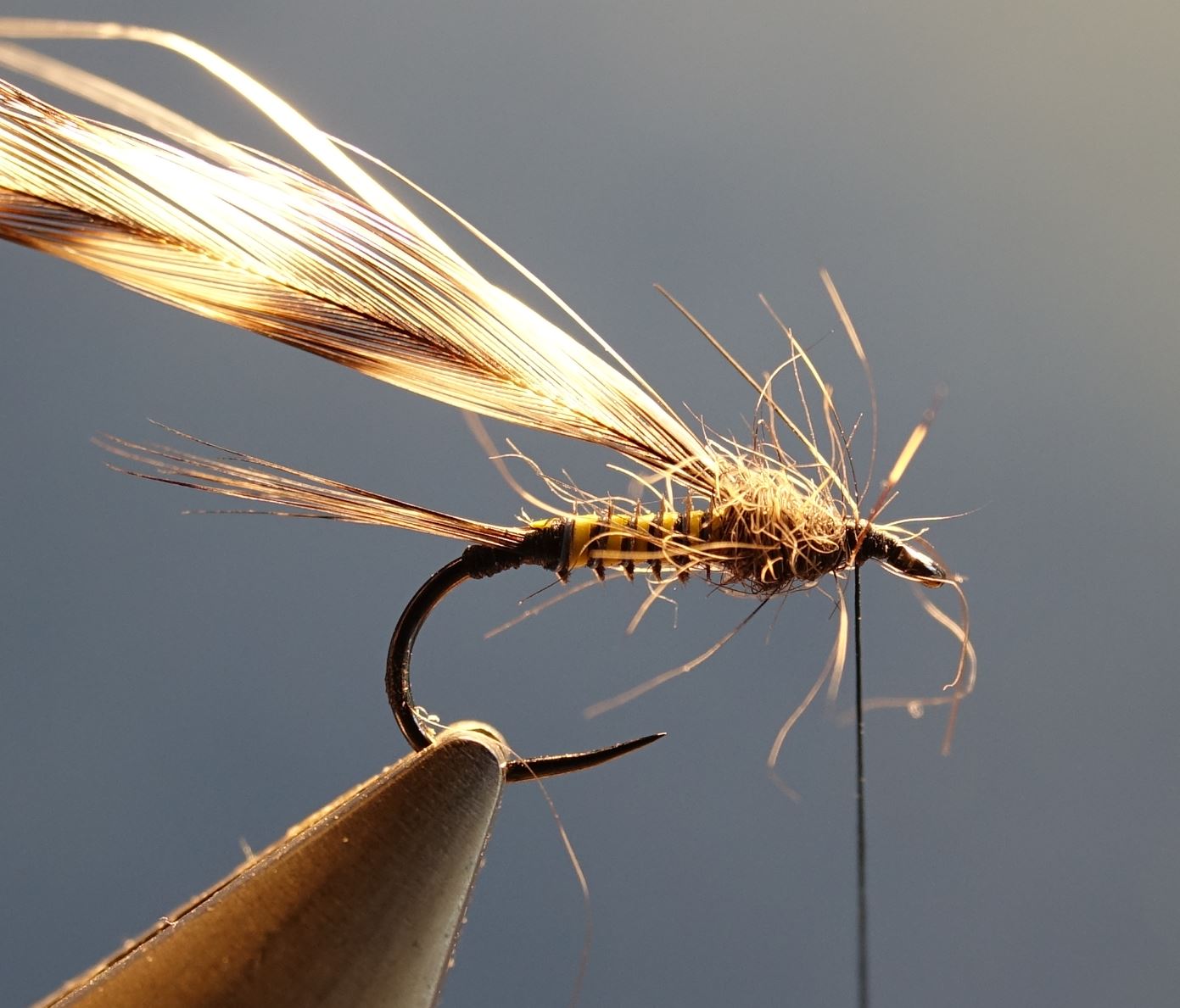 Ephemere ara mouche fly tying eclosion