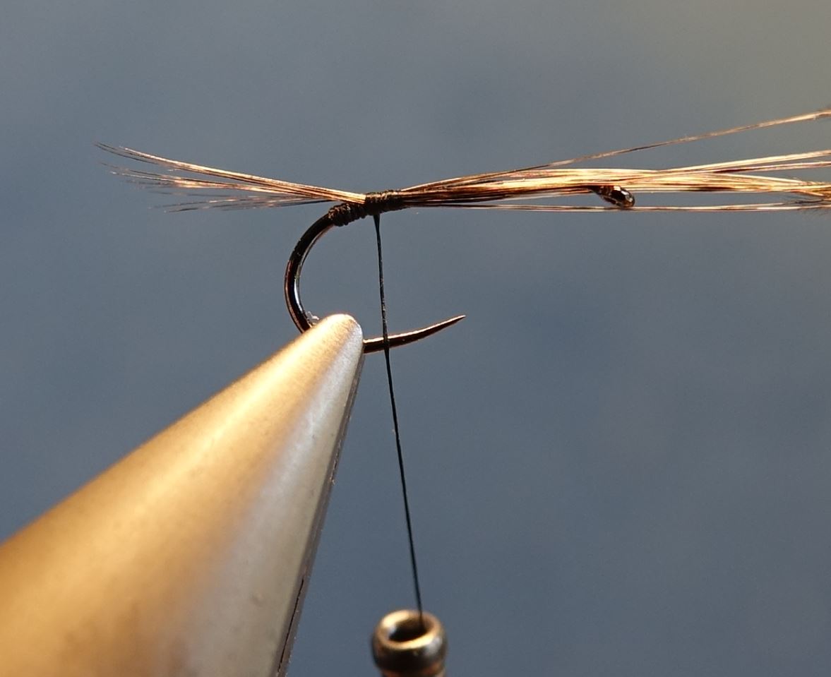 Ephemere ara mouche fly tying eclosion