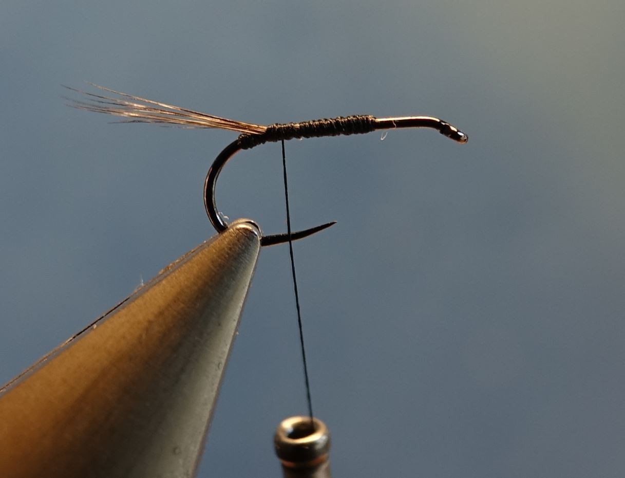 Ephemere ara mouche fly tying eclosion
