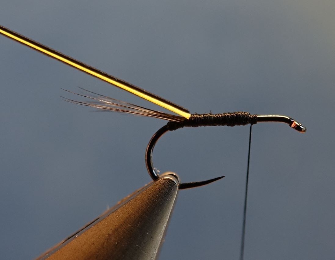 Ephemere ara mouche fly tying eclosion