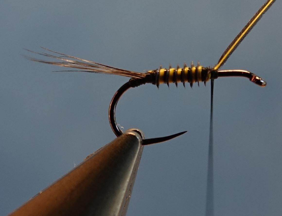 Ephemere ara mouche fly tying eclosion