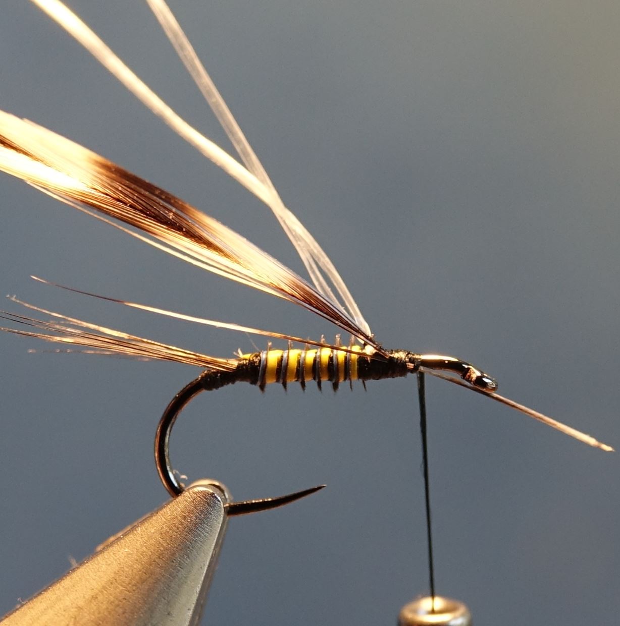 Ephemere ara mouche fly tying eclosion