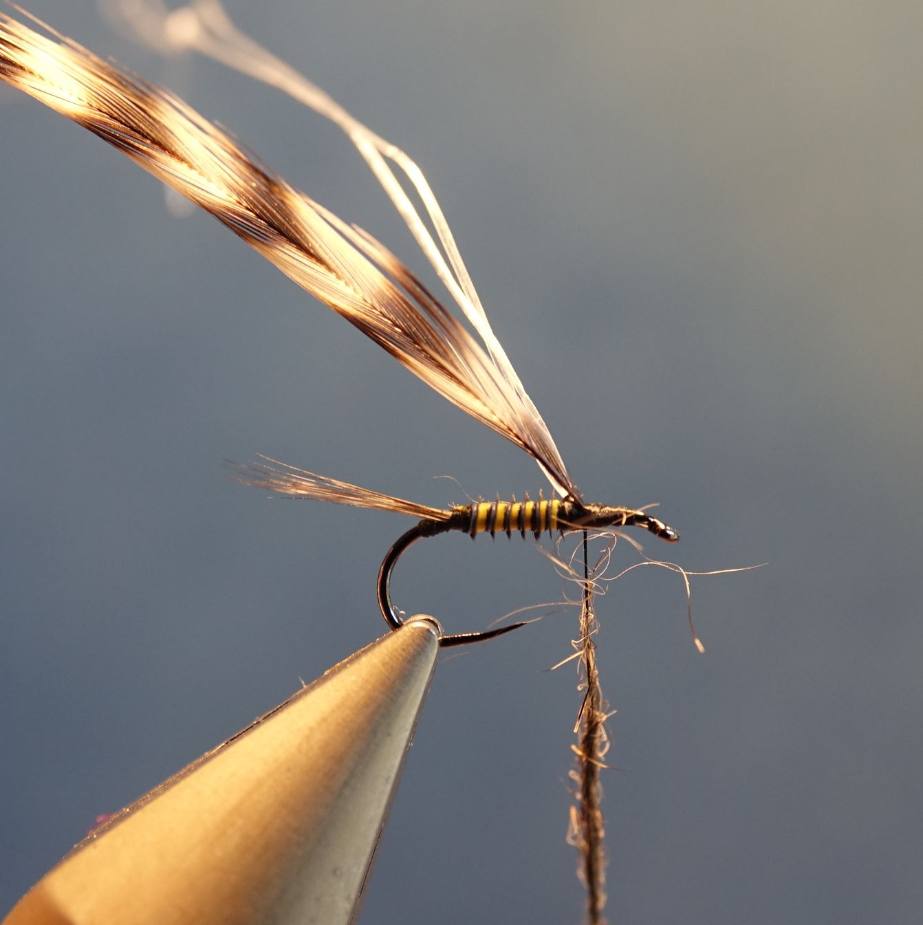 Ephemere ara mouche fly tying eclosion