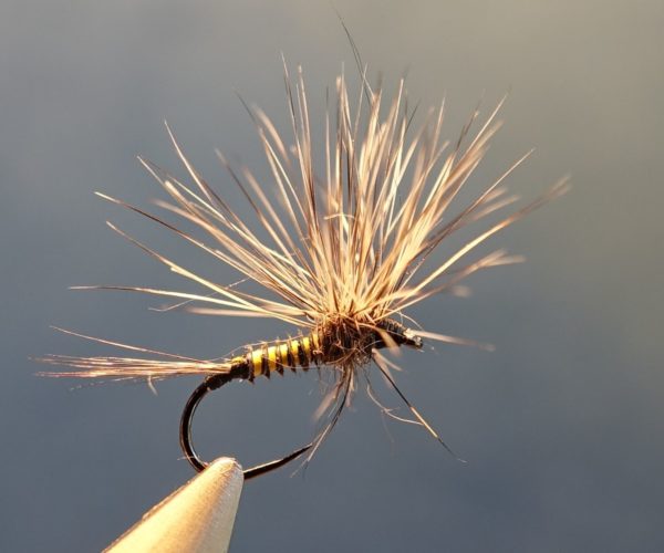 Je vous présente un montage d'éphémère avec la technique paraloop. L'originalité est l'utilisation d'une plume ara bleu pour faire le corps.